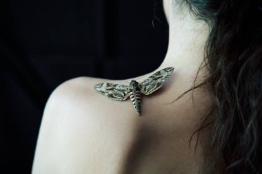 Kelebek şahin güvesi, kadının omzunda oturuyor. Karanlık arka planda yakın plan.. 