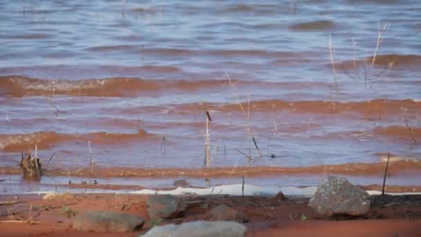 Disparo Constante Ondulaciones Rodando Las Costas Rojas Lago — Vídeos de Stock