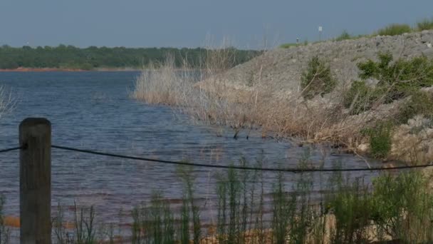 Невеликі Хвилі Прокочуються Берега Озера Огородженого Дротом Високими Зеленими Кущами — стокове відео