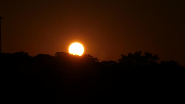 Tiro Firme Gran Sol Redondo Poniente Sobre Las Copas Los — Vídeo de stock