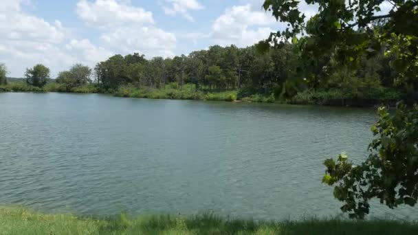 Tiro Firme Lago Com Vento Soprando Nas Folhas Uma Árvore — Vídeo de Stock