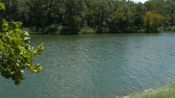 Plan d'eau stable coulant dans un lac par une journée ensoleillée, avec une légère brise soufflant sur les feuilles des arbres 