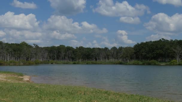 Amplia Toma Constante Lago Hermoso Día Soleado — Vídeo de stock