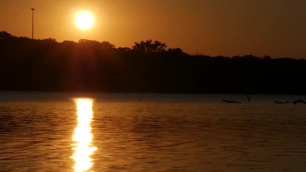 Voller Runder Sonnenuntergang Mit Goldenen Reflexen Fließenden Wasser Eines Sees — Stockvideo