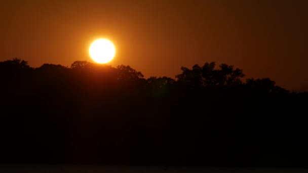 Stetige Aufnahme Eines Vollen Runden Sonnenuntergangs Mit Einem Schwarm Fliegender — Stockvideo