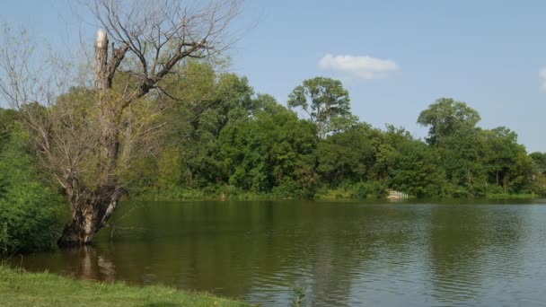 Lagoa Cênica Com Águas Verdes Que Fluem Dia Ensolarado — Vídeo de Stock