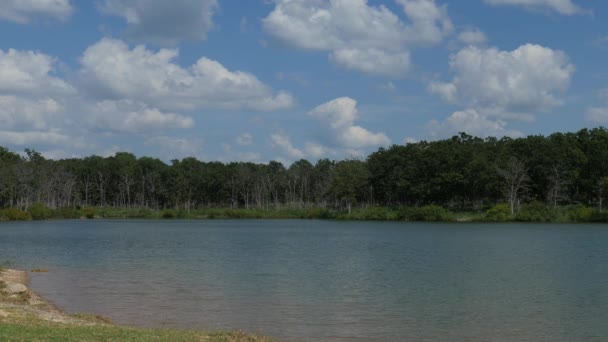 Tiro Largo Constante Lago Com Árvores Banco Dia Ensolarado Brilhante — Vídeo de Stock