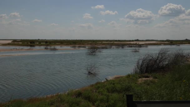 ほとりに塩湖の塩性湿地および薮とプレーンで流れる小川の中トップ ビュー — ストック動画