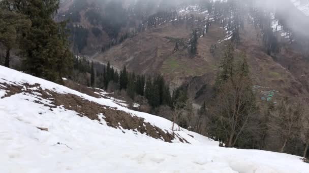 Handheld Schot Van Met Sneeuw Bedekte Bergen Met Vogels Vliegen — Stockvideo