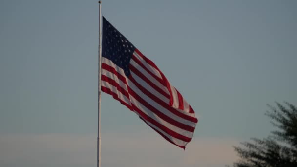 Bandera Los Estados Unidos Ondeando Desde Poste Atardecer Con Aves — Vídeo de stock