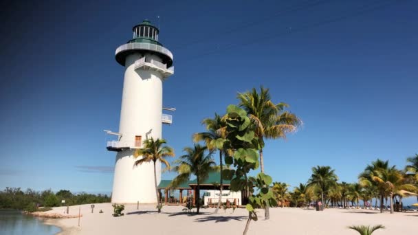 Harvest Caye Belizeιανουαριοσ 2018 Στιγμιότυπο Του Φάρου Στο Νησί Harvest — Αρχείο Βίντεο