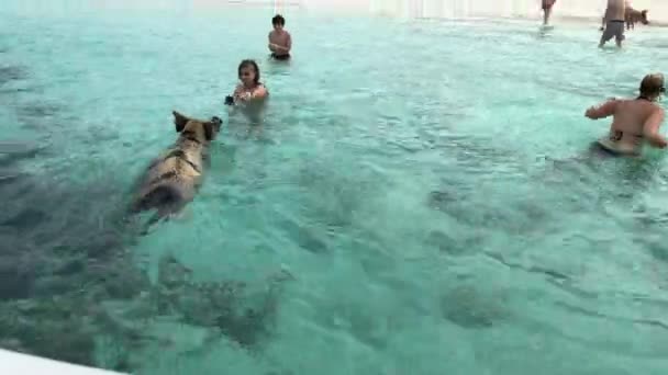 Exuma Cays Bahamy Styczeń 2018 Poręczne Ujęcie Ludzi Plaży Pływającą — Wideo stockowe