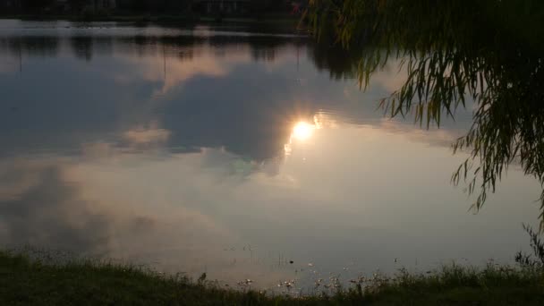 Solnedgången Reflekteras Vattnet Damm Skymningen — Stockvideo