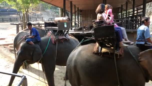 Chiang Mai Tailandmarch 2018 Disparo Mano Personas Montando Elefantes Chiang — Vídeo de stock