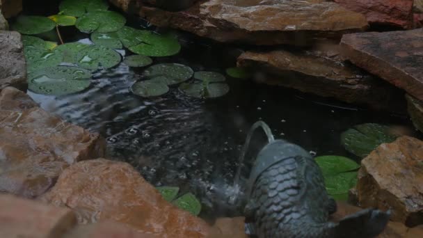 Kayalar Tarafından Sınırlanmıştır Küçük Arka Bahçe Havuza Akan Balık Çeşmeden — Stok video
