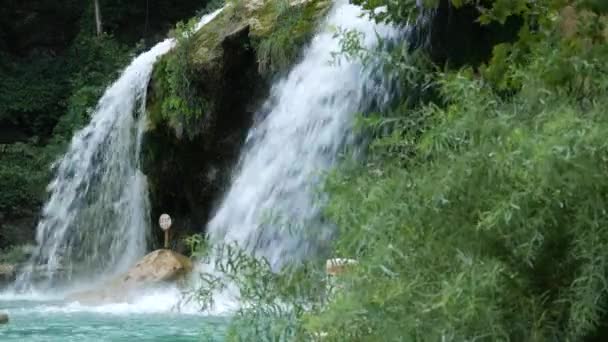 Side View Shot Cascading Waters Waterfalls Green Shrubs Swaying Splash — Stock Video