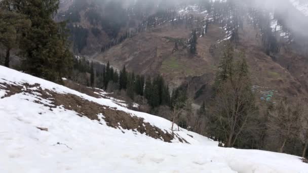 Handheld Schot Van Met Sneeuw Bedekte Bergen Met Vogels Vliegen — Stockvideo