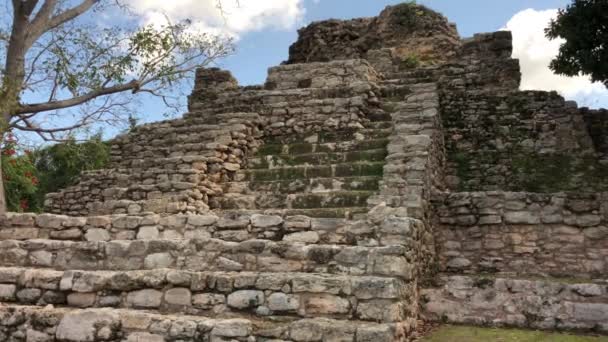 メキシコ コスタマヤのマヤのピラミッド寺院の遺跡のハンドヘルドショット — ストック動画