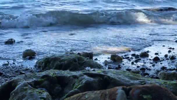 우울한 해안으로 파도의 — 비디오