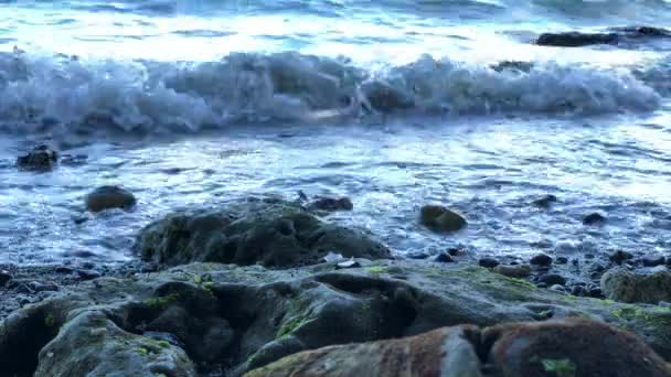 우울한 해안으로 굴러가는 파도의 와이드 — 비디오
