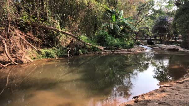 Rzeka Odbiciami Drzew Wodzie — Wideo stockowe