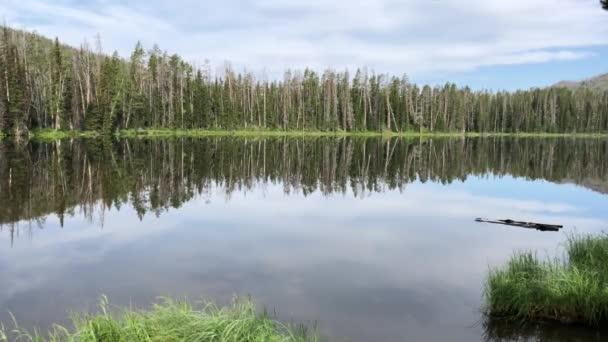 Panorâmica Tiro Mão Lago Com Árvores Montanha Refletida Água — Vídeo de Stock