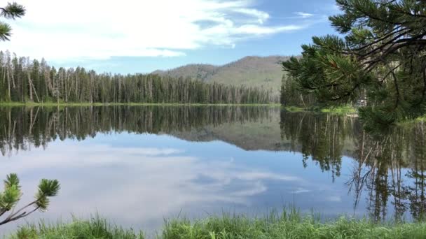 Wide Handheld Shot Lake Trees Mountain Reflected Water Trees Framing — Stock Video