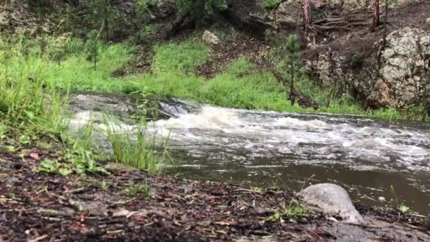 Tiro Firme Arroyo Que Fluye Por Ladera Montaña Después Una — Vídeo de stock