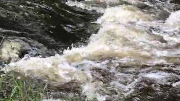 Plan rapproché de l'eau qui tourbillonne et descend un ruisseau à flanc de montagne, avec des sons naturels 
