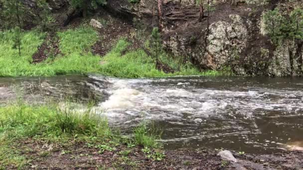 Široké Stabilní Záběr Creek Teče Dolů Hory Přírodní Voda Zvuky — Stock video