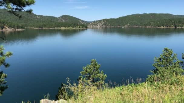 Tiro Mão Lago Limitado Por Pequenas Árvores Primeiro Plano — Vídeo de Stock