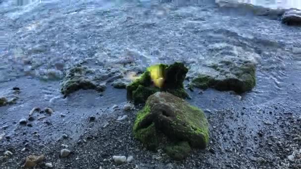 해변에서 바위에 부드럽게 Lapping 파도의 핸드헬드 — 비디오