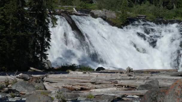 Firme Disparo Cerca Las Cataratas Lewis Cayendo Aproximadamente Pies Hasta — Vídeos de Stock