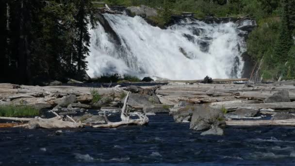 Fotografia Água Cascata Lewis Falls Parque Nacional Yellowstone — Vídeo de Stock