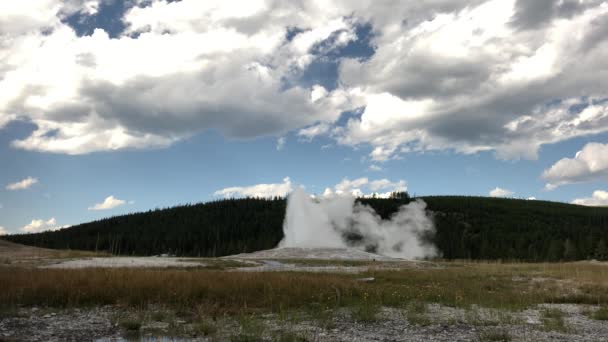 Nejpopulárnější Starý Věrný Gejzír Uvolňující Páru Vodu Během Erupce Yellowstonském — Stock video