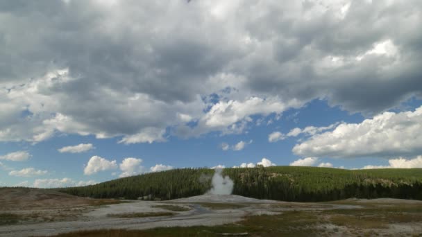ワイオミング州イエローストーン国立公園での噴火の間に蒸気と水を放出する古い忠実な間欠泉の広い遠いショット — ストック動画