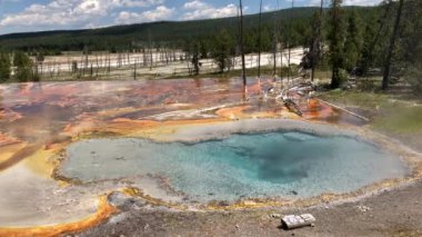 Aşağı havza gayzerinde Celestine Havuzu 'nun geniş görünümü, arka planda bakteri minderi olan Yellowstone Ulusal Parkı..