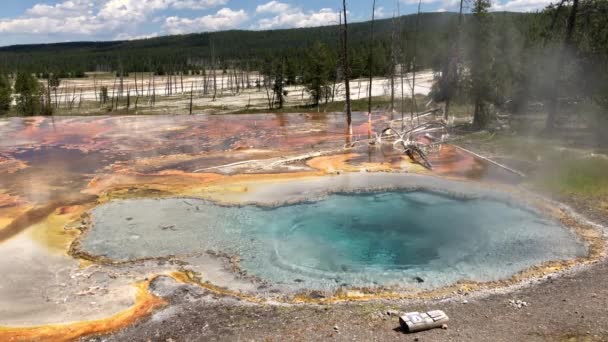 Lélegzetelállító Kilátás Nyílik Celestine Pool Forrásban Alsó Medence Gejzír Yellowstone — Stock videók