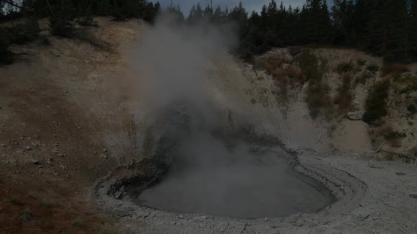 Gros Plan Régulier Volcan Mud Parc National Yellowstone Dans Wyoming — Video