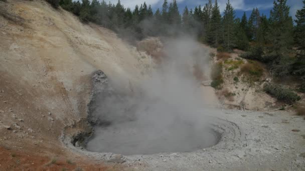 Gros Plan Régulier Vapeur Élevant Volcan Boue Parc National Yellowstone — Video
