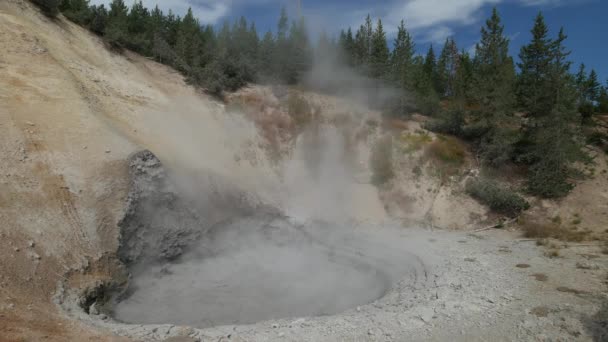 怀俄明州黄石国家公园的泥火山上传来的稳步的泥巴和蒸汽 — 图库视频影像