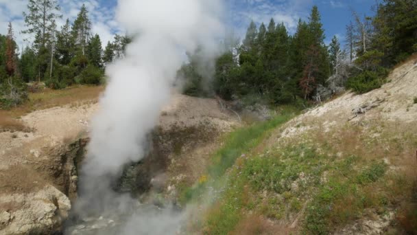 Stetige Nahaufnahme Der Öffnung Der Drachenmundquelle Die Heiße Dampfschwaden Yellowstone — Stockvideo