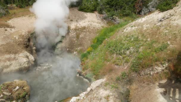 在怀俄明州的黄石国家公园 龙嘴泉的稳定镜头释放出滚滚的热气 前面有一个热水池 — 图库视频影像