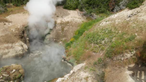 Steady Shot Dragons Mouth Spring Releasing Billows Hot Steam Yellowstone — Stock Video