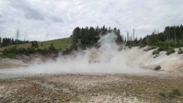 Wide Steady Shot Steam Rising Mud Volcano Area Yellowstone National — Stock Video