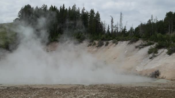 在怀俄明州黄石国家公园的泥火山地区 从泥火山地区升起的蒸汽的稳定的近距离拍摄 自然的声音 — 图库视频影像