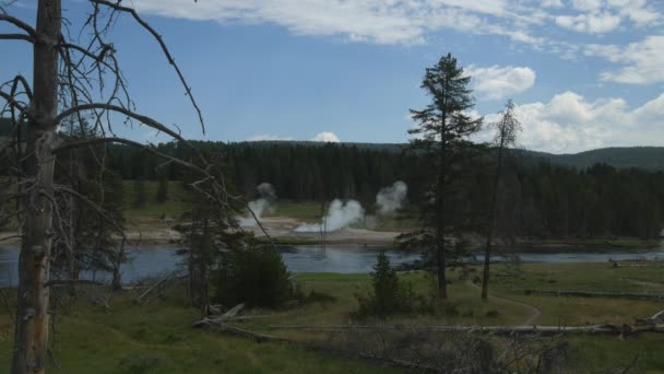 Wyoming Yellowstone Milli Parkı Sürekli Orta Geniş Bir Çayır Yellowstone — Stok video