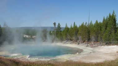 Norris şofben Havzası, Wyoming Yellowstone Milli Parkı, kaynar Emerald baharın doğal sürekli çekim.