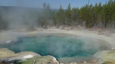 Mavi zümrüt bahar sürekli atış Norris şofben Havzası, Wyoming Yellowstone Milli Parkı, yükselen buhar ile yakın.