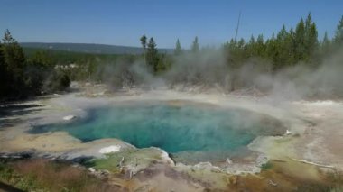 Mavi zümrüt bahar Norris şofben Havzası, Wyoming Yellowstone Milli Parkı, yükselen buhar ile geniş doğal sürekli çekim.